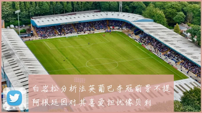 白岩松分析法英葡巴夺冠前景不提阿根廷因对其喜爱担忧像贝利